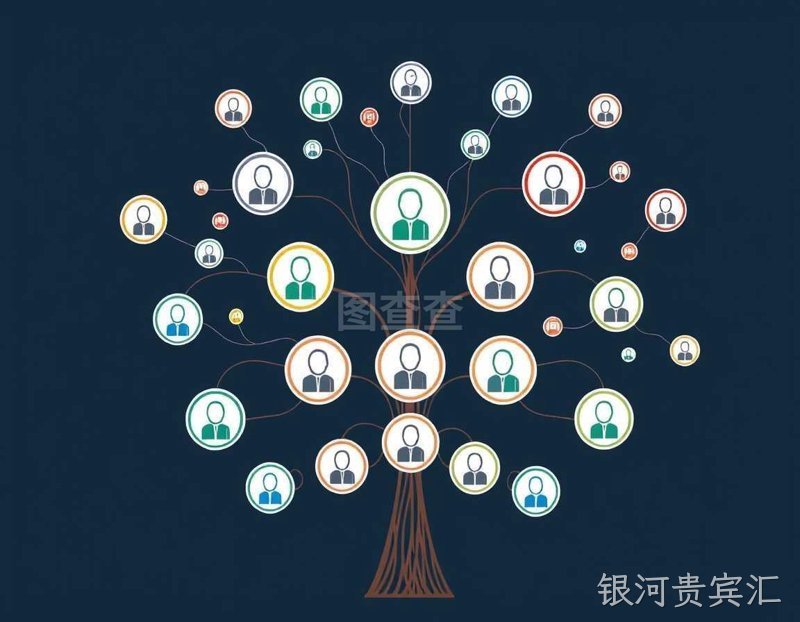 网络营销选购指南:掌握在线营销的钥匙